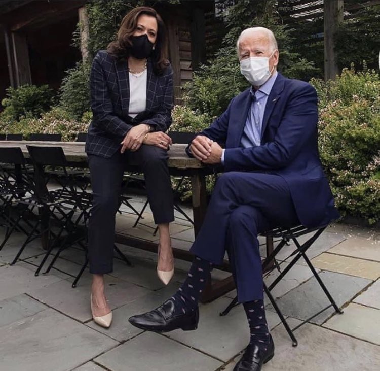 Mrs_Cldh's tweet photo. @realDonaldTrump Say hello to your replacement...#ThousandMoronMarch #ThousandsMAGAMarch #BidenHarris https://t.co/Wmc2zvT76N