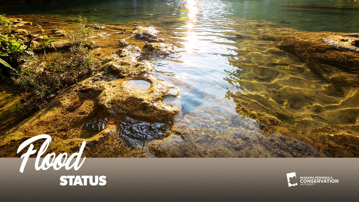 Niagara is currently under a Special Weather Statement issued by Environment Canada, calling for winds of 100+km/hr on Sun. These will increase water levels &amp; 🌊 along the Lake Erie shoreline.

Residents are urged to pay close attention. More at buff.ly/2Gw3SCX. #ONFlood