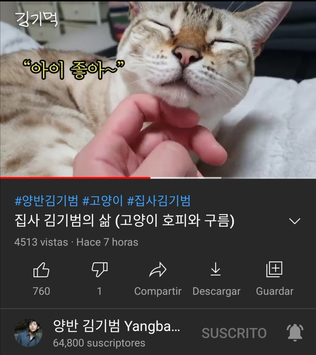 ELFMexLatam's tweet photo. El "MIAU" más varonil que escucharán en la vida 🐱🦁🐱

Vayan a darle amor a Ki Bum y sus bellos bebés 😅😅😅

Link👇
https://t.co/bF9ig0PmP4

@SJofficial #SUPERJUNIOR #TheRenaissance #TheMelody #The10thAlbum https://t.co/4d42b1dEyl
