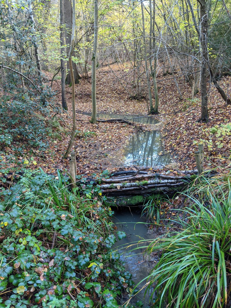 3/ Bishop's Wood is ancient semi-natural woodland, probably there since the last Ice Age. It was purchased by Rickmansworth Urban District Council in 1960 and transferred to Three Rivers District Council in 1974.