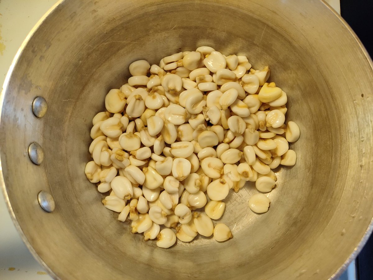 We're starting with about 2/3 of a pound of dried hominy, soaked overnight
