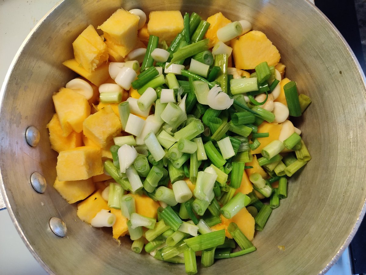 And 1 fairly large bunch of green onions