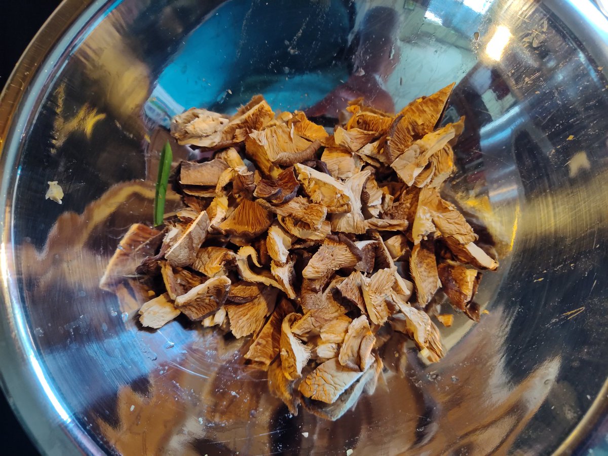 Roughly chopped dried forrest mushrooms (these are oyster mushrooms)