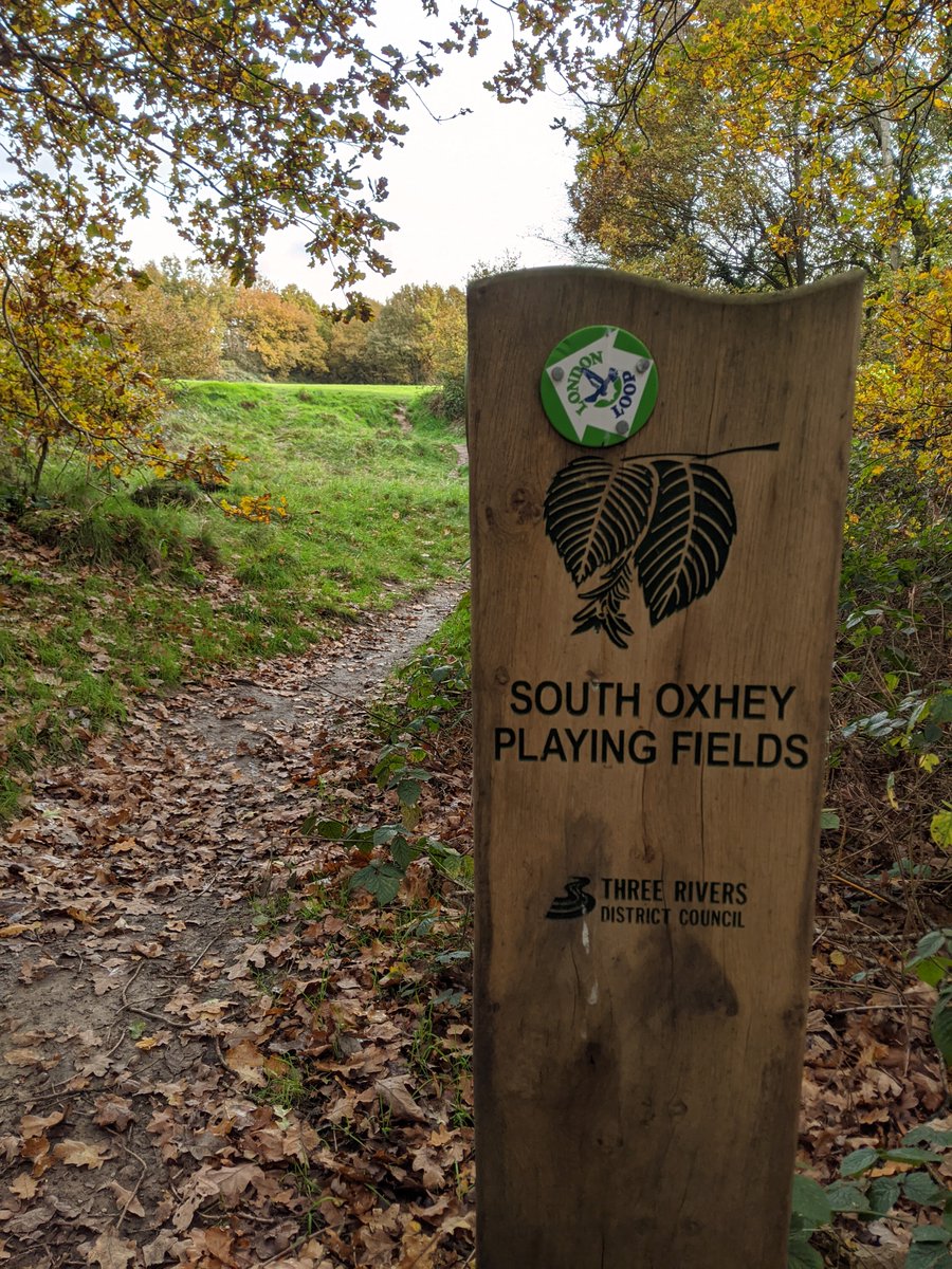 6/ On to Section 14, South Oxhey Playing Fields - an open space preserved for the adjacent estate by the London County Council in 1952.
