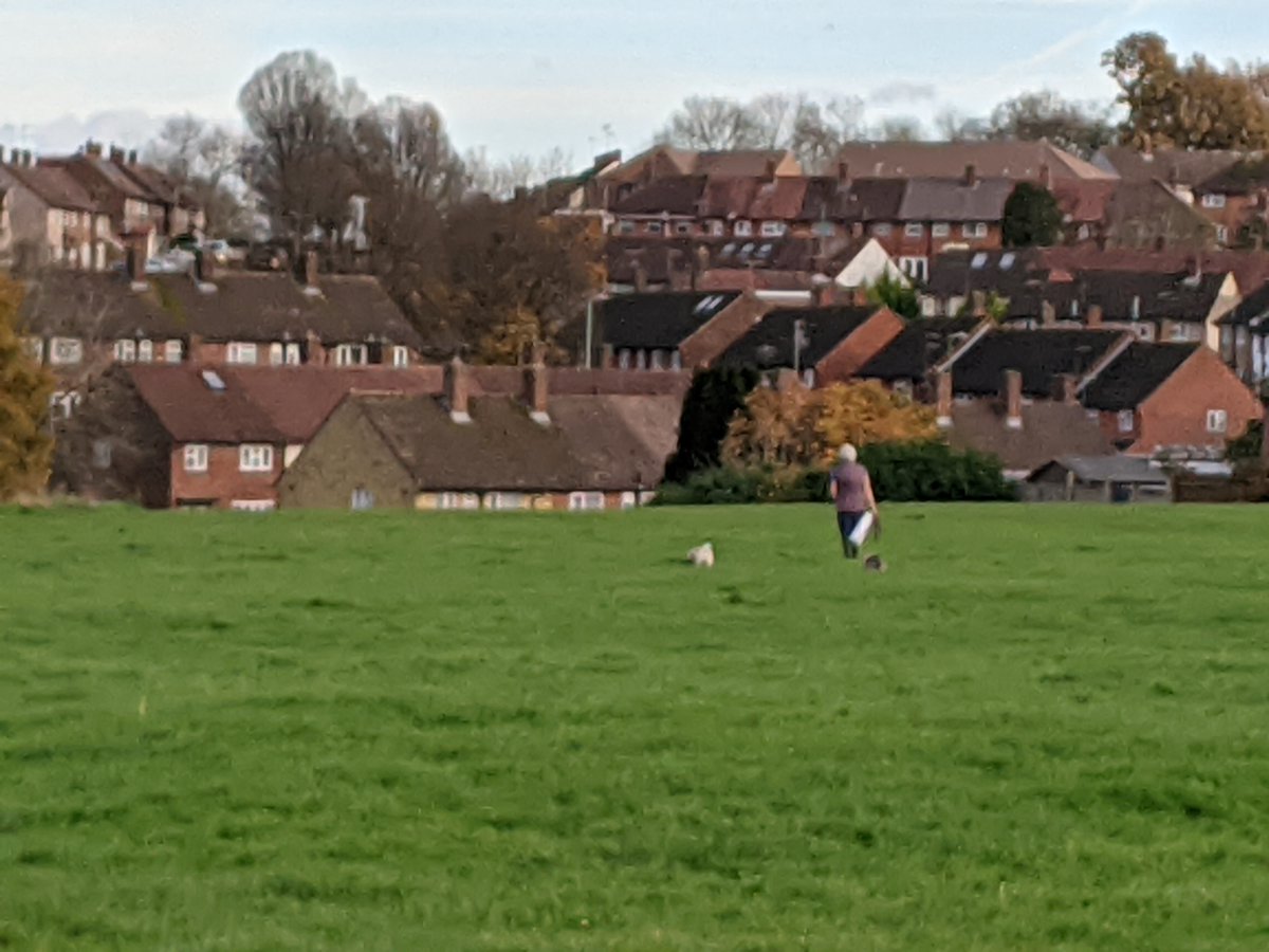 6/ On to Section 14, South Oxhey Playing Fields - an open space preserved for the adjacent estate by the London County Council in 1952.
