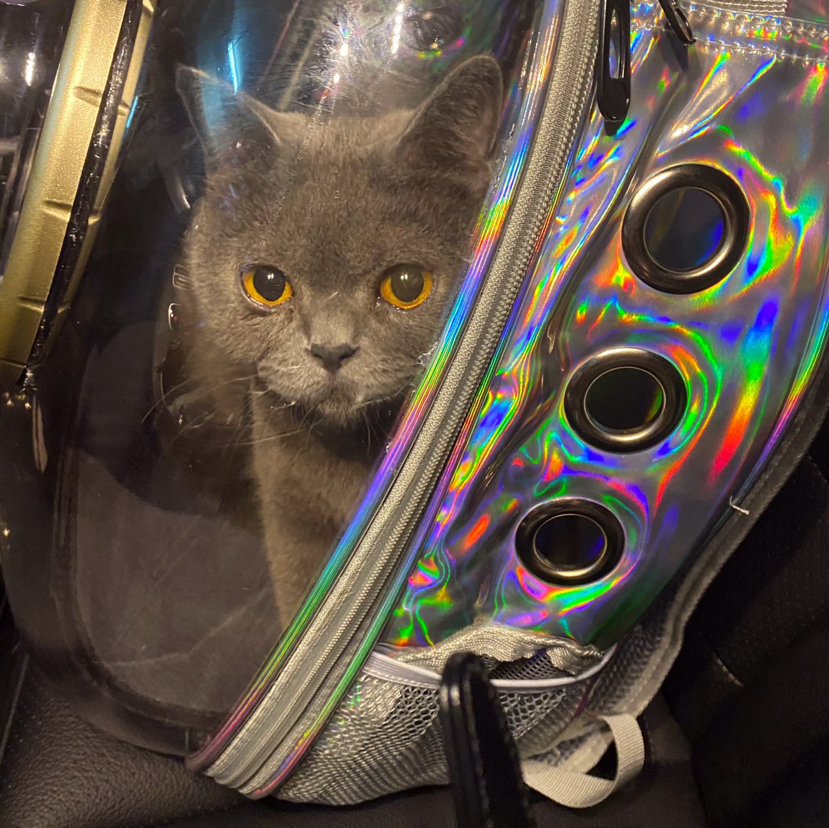 JOEKWAN (@wonderland330) on Twitter photo 