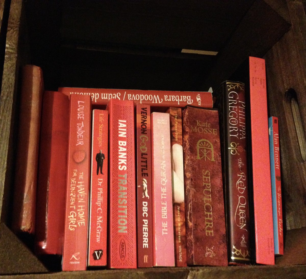 CatWalkerAuthor's tweet image. A study in #red. The advantage of ordering books by colour is that you can get very unexpected bedfellows! #redstack #bookstack #rainbowbooks