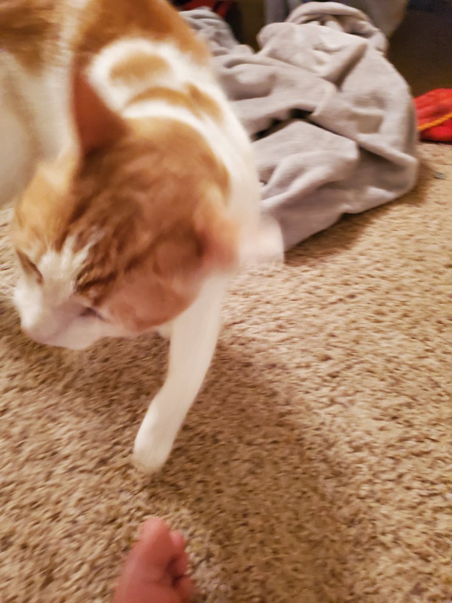 Hawt_dog (@hawtdog17) on Twitter photo 