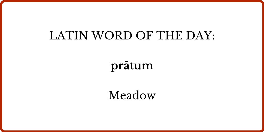 The word is a latin word