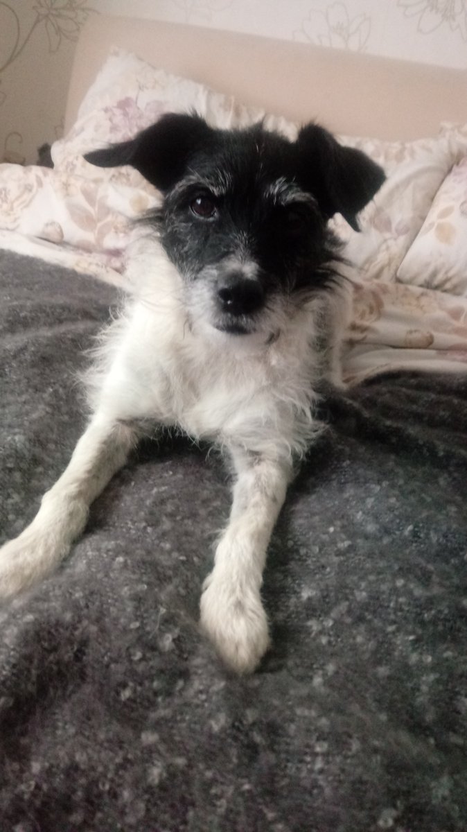 Tamara Rees tweet media