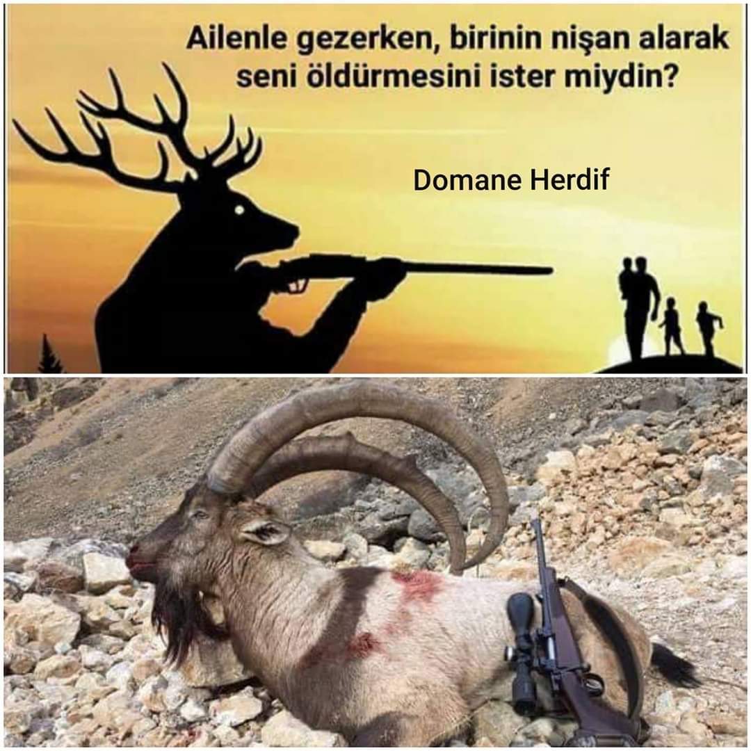 ""Avcılık cinayettir""