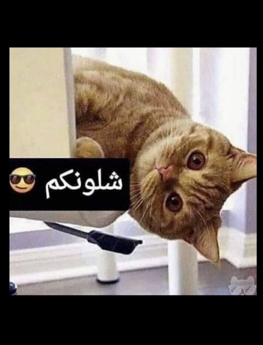 Sho Sho (@shamayel_89) on Twitter photo 
