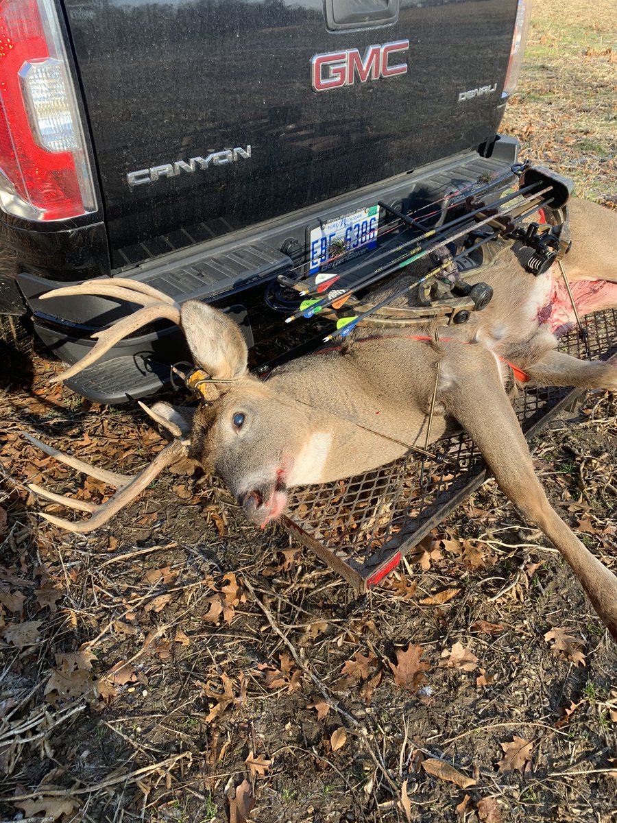 Great Morning in the woods!