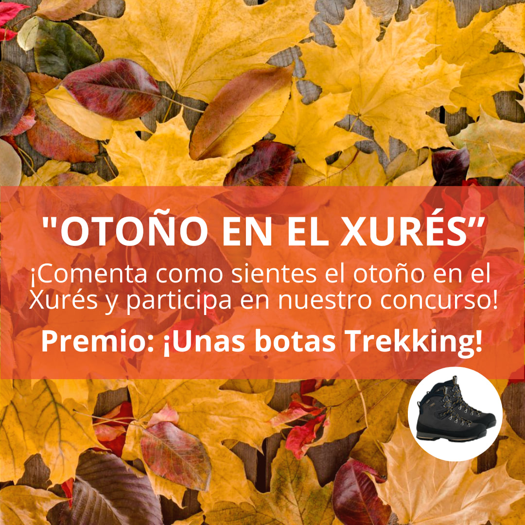 RXures's tweet photo. Búscalo en nuestro FB /Instagram y llévate unas botas de profesional del trekking. Sólo queda un día!!! #xures #geresxuresdinamico #galicia #trekking #sendeirismo #roteiros @GSenderismo @Turgalicia @GNaturaleUnica @GaDestinoActivo https://t.co/64WzoCGfLY