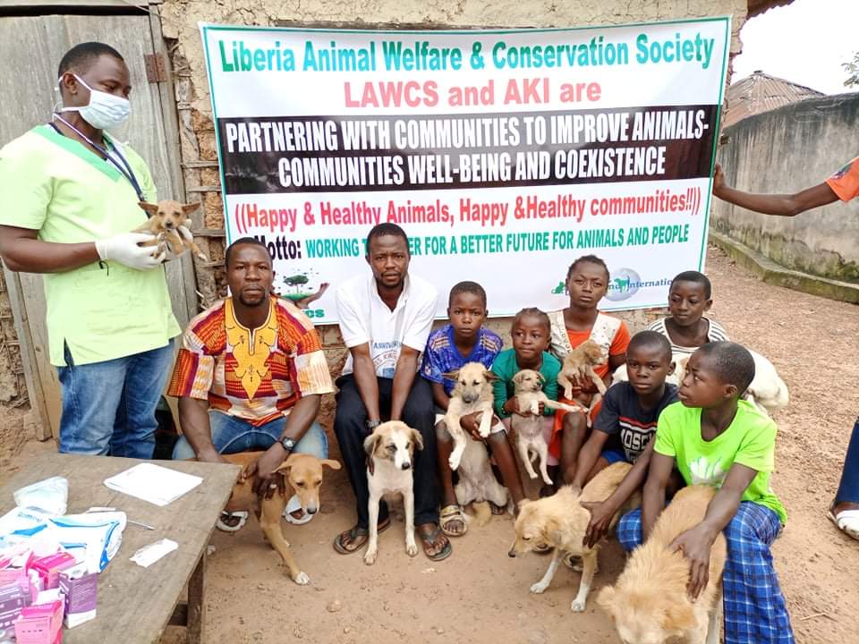 LiberiaAnimal's tweet photo. Our free general outreach #veterinarycare program continues to provide #rabies and #pavovirus vaccinations along with tick and flea medications, wound dressing, deworming, mange treatment, etc.
https://t.co/r6A9R1DB7q
#VeterinaryService #COVID19 #OneWelfare #ONEHEALTH #Donation https://t.co/ZO3yIQq9KY