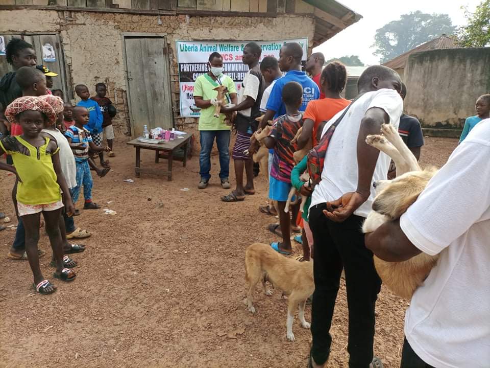 LiberiaAnimal's tweet photo. Our free general outreach #veterinarycare program continues to provide #rabies and #pavovirus vaccinations along with tick and flea medications, wound dressing, deworming, mange treatment, etc.
https://t.co/r6A9R1DB7q
#VeterinaryService #COVID19 #OneWelfare #ONEHEALTH #Donation https://t.co/ZO3yIQq9KY