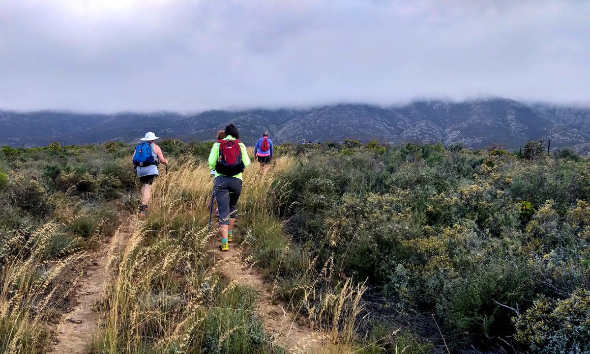 Hiking for #WorldDiabetesDay in the Nuy Valley in Cape Winelands. Together we can #BeatDM and #BeatTB!

#ChekaImpilo #knowyourstatus #USAIDSouthernAfrica