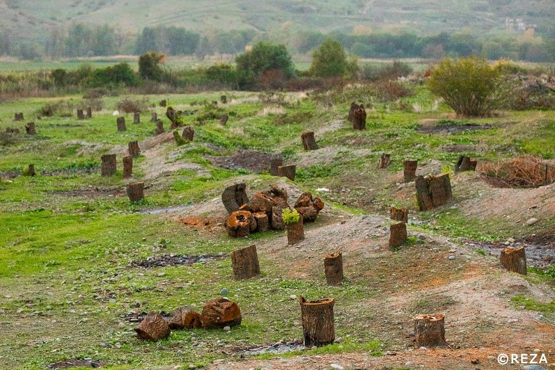 Nurane36009733's tweet photo. Nature is an innocent victim. We, humans, are linked to our environment. Coexisting with nature is fundamental for our survival. These trees were cut off as a result of Armenian occupation. I will always be an advocate for the environment #BurningHome #EcoTerrorism https://t.co/UaFHV8XFHS