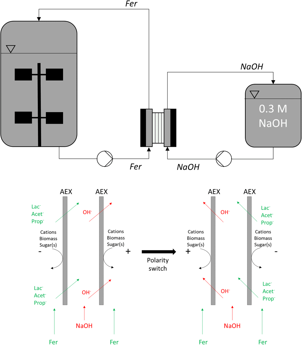 Project BIOCHEM tweet media