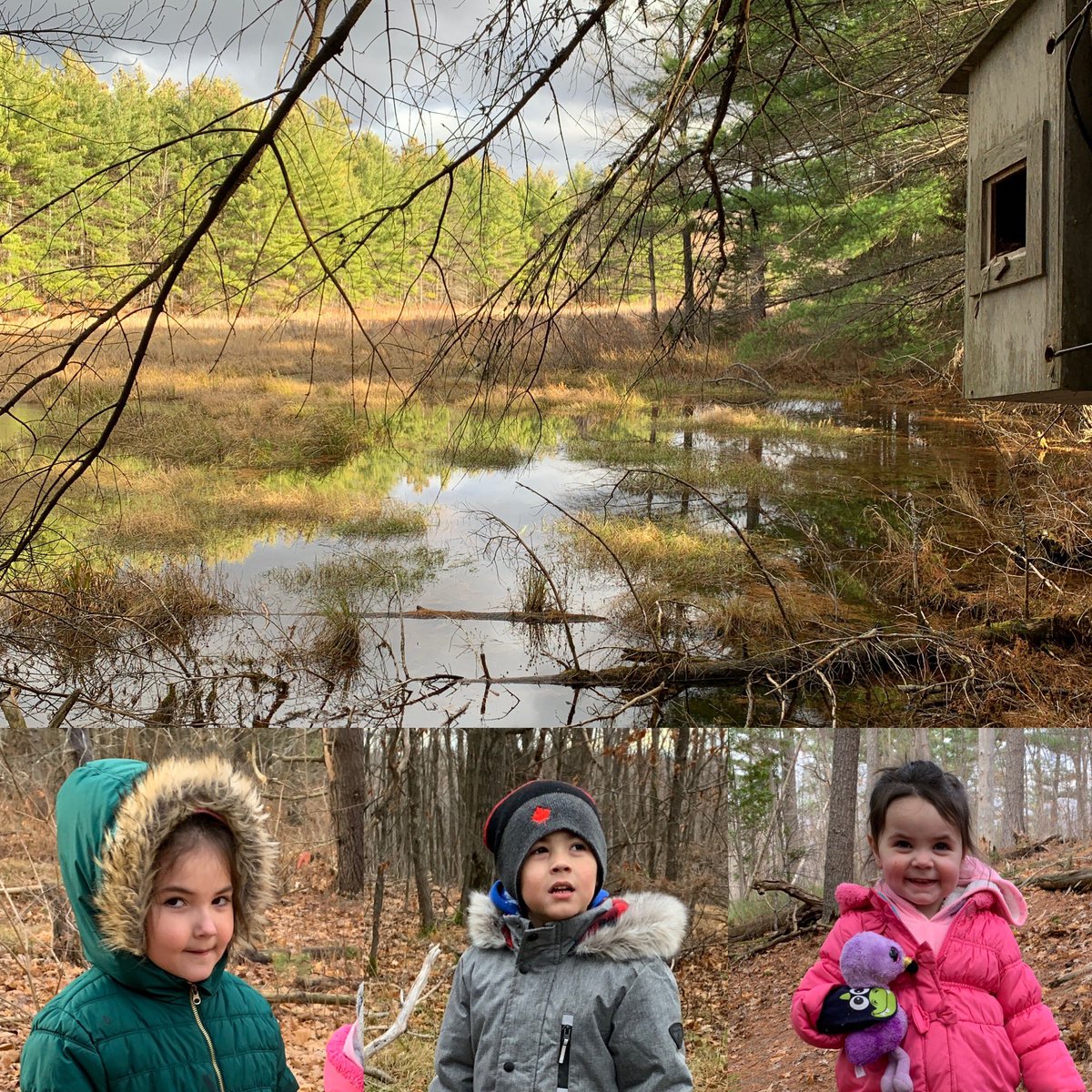 tbeau27's tweet photo. #newday #newtrail #highlonesomenaturereserve #nature #medicine #beaufam #CBeau #RoBeau #SEBeau @beauchamplinds https://t.co/VszvItE9iD