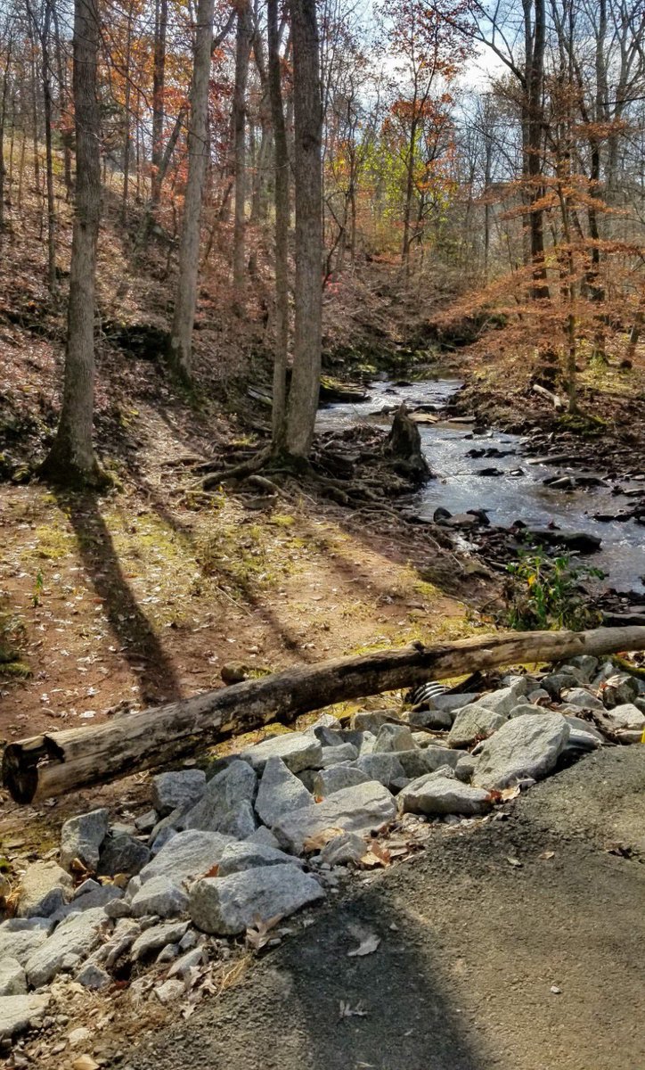 Dave5Runs's tweet photo. Beautiful, crisp, day for a short trail run. 🍺���‍♂️🇺🇸. #NAFlagvisorWW https://t.co/mUeh1HbMcv