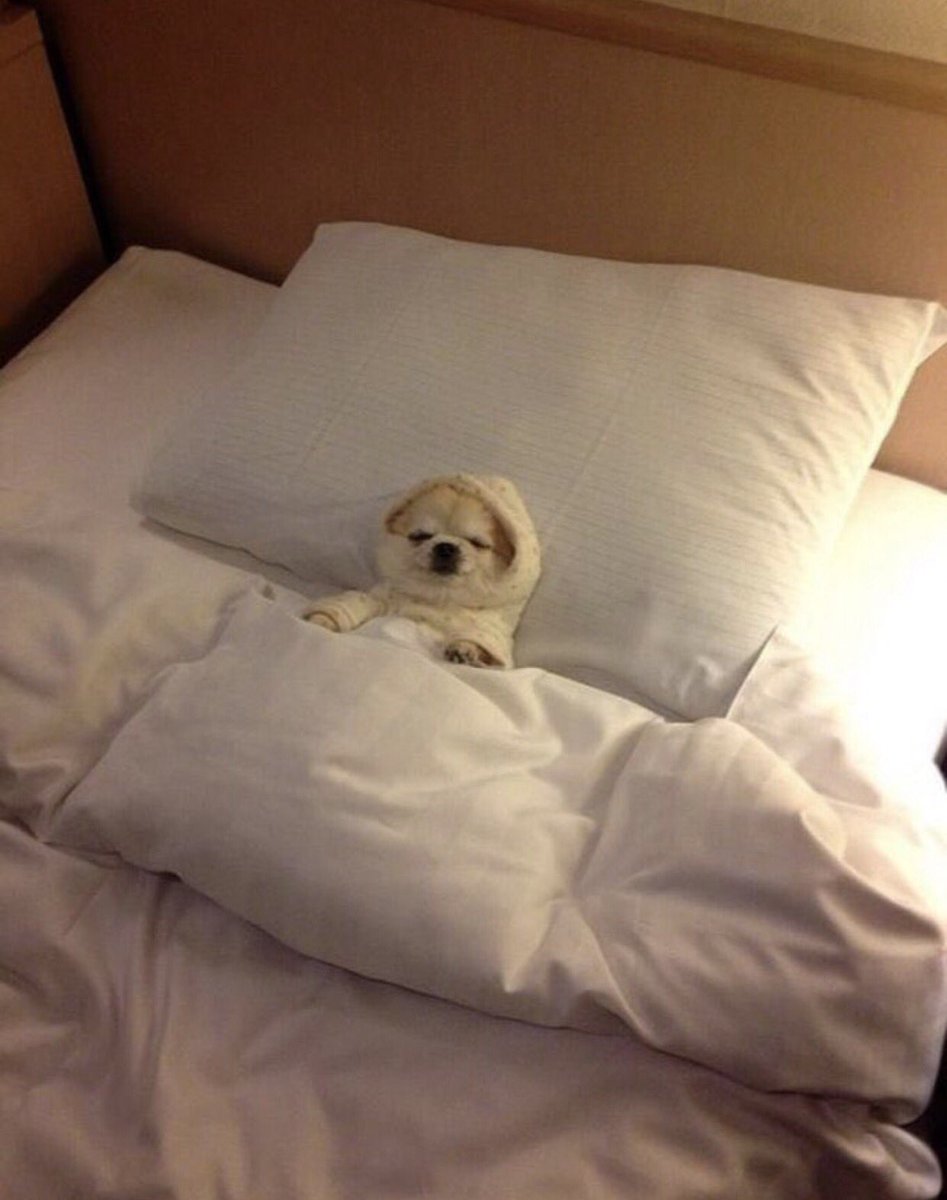 me at 5pm all tucked into bed thinking it’s midnight