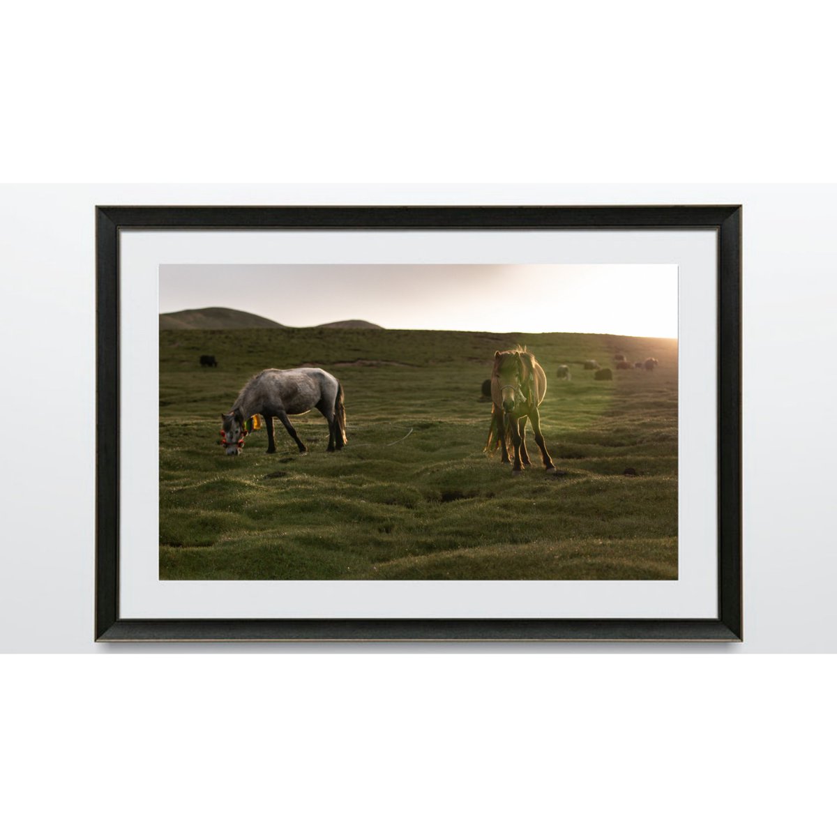 Tibet archives, 2019
.
.
#fineartphotography #print #martinkraft #canon #comission #visualantropology #travel #travelphotography #tibet #budismotibetano #ig_travel