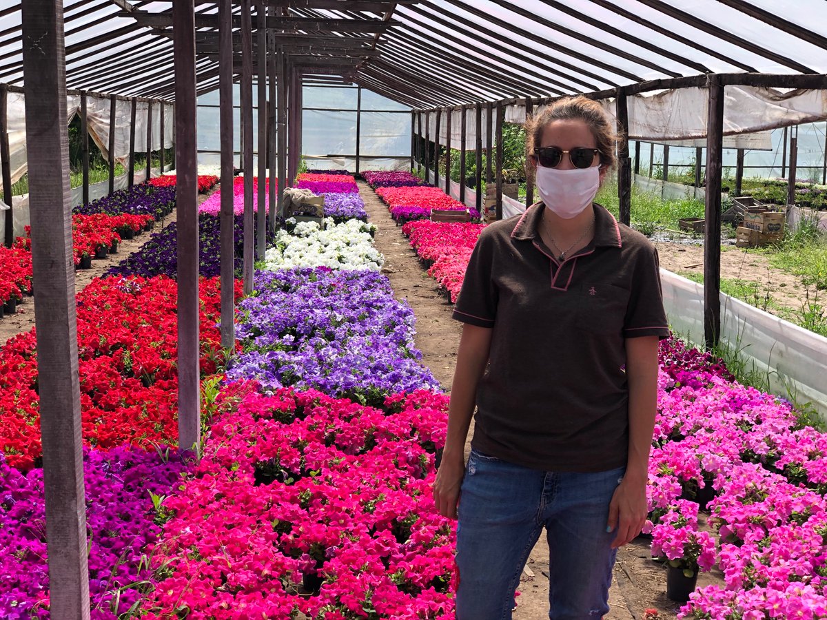 larutapia's tweet photo. Recorrida por cultivos ornamentales de Moreno. Proyectos para el sector floricola en marcha 😉 
Foto 4: tecnología de reservorio se agua de lluvia https://t.co/l8rAqjM5cL