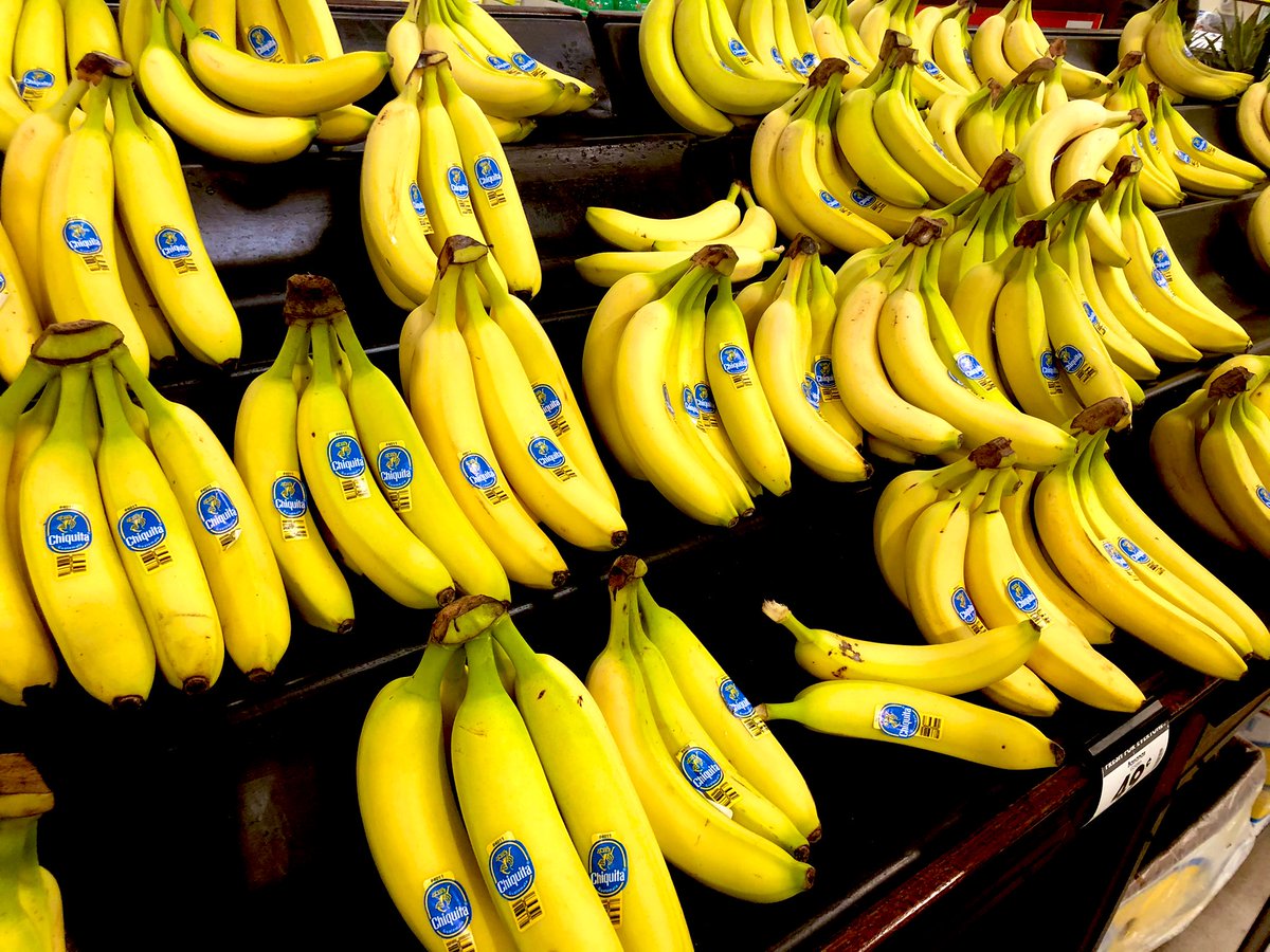 MEGAAAAMONDO's tweet photo. LET’S GO BANANAS!!!!!!! 
#UPSTARTPRO #STAYCATION

#JUSTTOOMEGA 🦍🍌 https://t.co/flJwRHUAf9