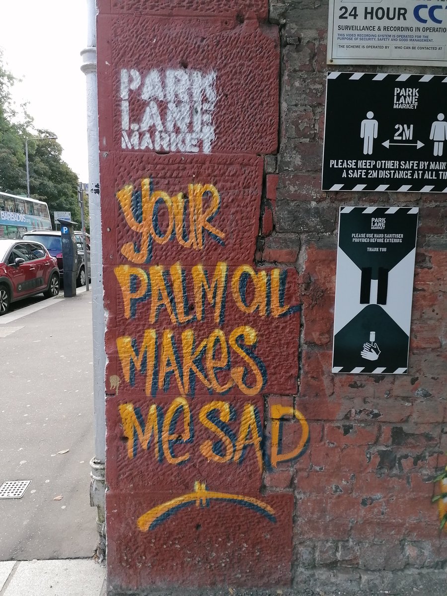 nolesserpanda's tweet photo. @eatmorebeanss @VanillaismD I totally agree that #sustainablepalmoil is the way forward. The #protectpongo campaign has hit near me...
#OrangutanCaringWeek https://t.co/Od1sNC0xoA