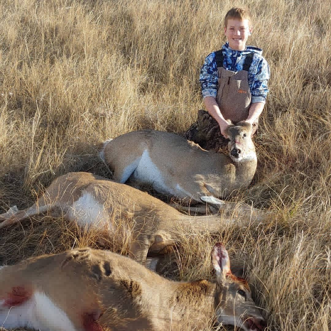 Jeffsimonsen3's tweet photo. West river doe management!!!! https://t.co/L6TEu0r9Tm
