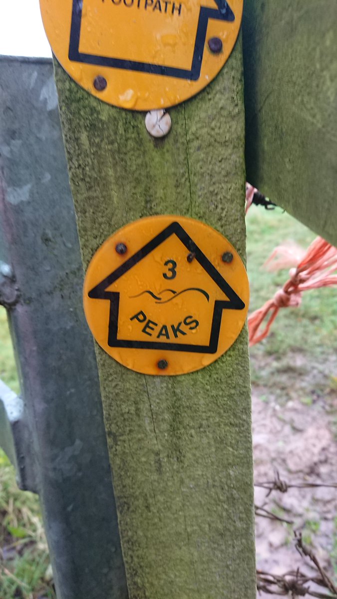 For_the_goats's tweet photo. Today I ran the Bristol 3 Peaks route. On a sunny day it would be beautiful but today it rained hard and conditions made for slow progress. Still I saw some goats and ran 30 km. A good day! Any Bristolians want the GPX? I can send it, mistakes and all! 
#forthegoats #trailrunning https://t.co/rWjBUecJx4