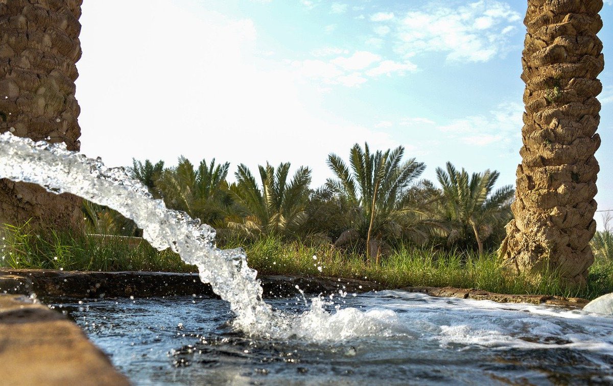 burydahprojects's tweet photo. أرياف #القصيم .. 

خضرة وماء وأجواء جذابة. https://t.co/ALGEE1aSlj