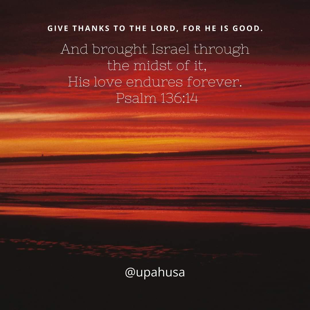 UPAHusa's tweet photo. Give thanks to the LORD, for HE is good.
And brought Israel through the midst of it,
His love endures forever. Psalm 136:14
#God #Jesus #HolySpirit #HisWord #LiveHisWord #PrayHisWord #TheBookisbetter #TheBible #November A #Word of #Encouragement for #You #Today #Forgiveness https://t.co/YoTlOSRVKa