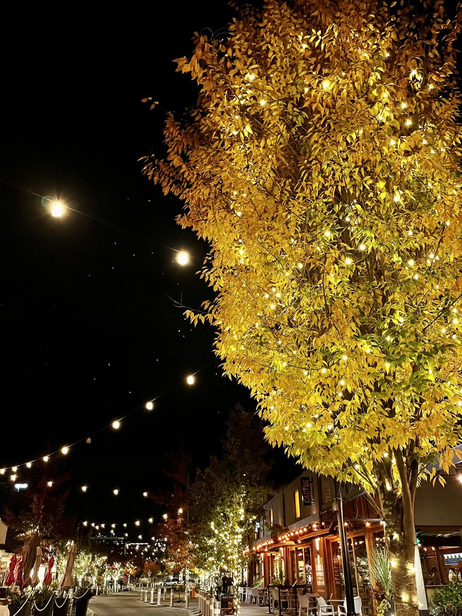 AndruEdwards's tweet image. Night shots on #iPhone12ProMax 📲