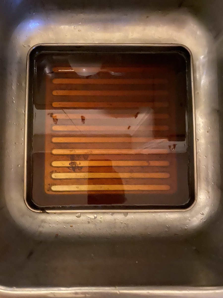 12/ first I soak the prop briefly in some plain water in our sink. Then take the paper out, dump out the water, fill the tray with the decaf coffee mixture, and into this lovey bath goes the damp paper