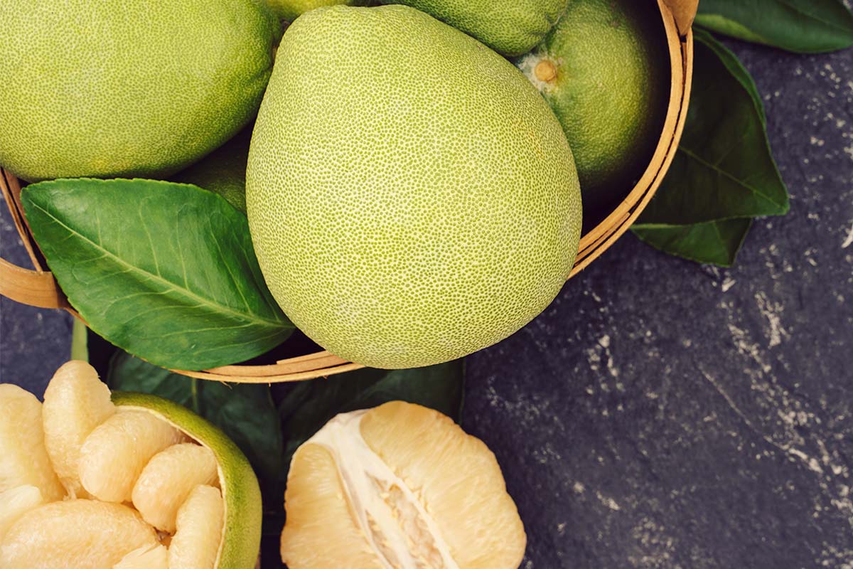 Gin_Cooperative's tweet photo. In our tenth episode of #BeautifulBotanicals we explore some of the wonderfully unique, rare & beautiful #botanicals in #ScottishGin. Next up, we talk Pomelo with @pixelspirits, makers of Drookit Piper #Gin - https://t.co/NtMT3YX1s5
📸TGC https://t.co/eTh0AaHh8S