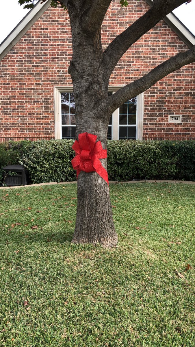 brooklyn75077's tweet photo. @TrumpStudents @kayleighmcenany @realDonaldTrump ❤️From Texas https://t.co/KV9C8m8NGu