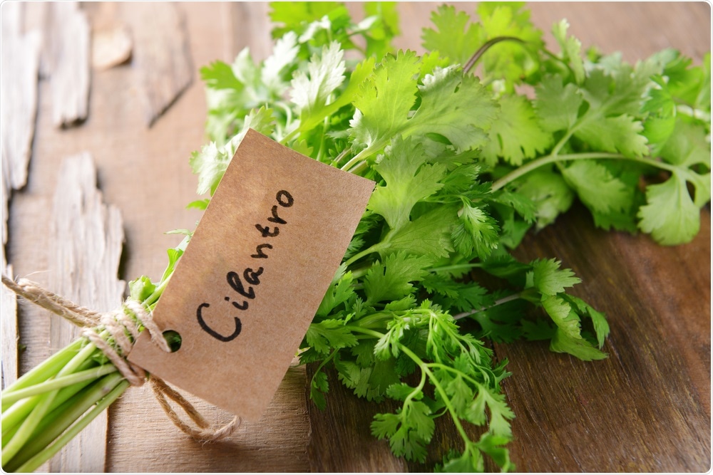 1/13Why does cilantro taste and smell so delicious to some people but like soap (or worse) to others?Personally, I love cilantro. Some folks can't even be around it. Why? #tweetorial  #medtwitter