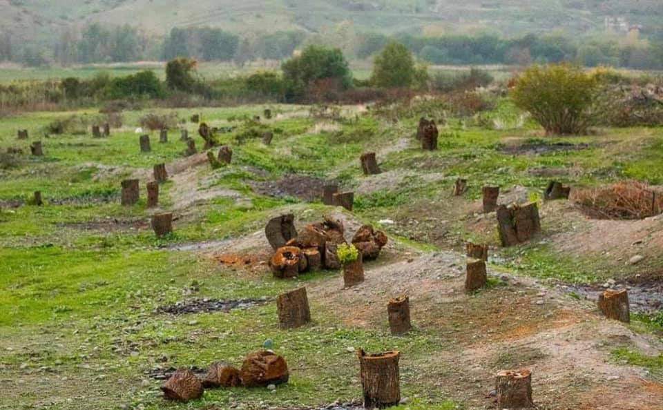 UMammadly's tweet photo. #PRAYFORKARABAKH
#StopArmenianTerrorism
#StopArmenianVandalism
#ecoterrorism https://t.co/spIQl3qvkY