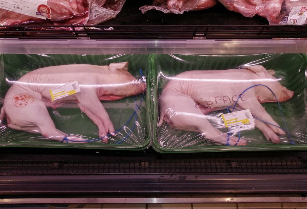 hugoclement's tweet photo. Quelle triste « vie » et quelle triste fin. Naître sur un sol grillagé. Ne jamais voir le ciel ni fouler la terre. Finir dans une barquette sous du cellophane. Cette photo prise ce matin dans un magasin d’Épinay-sur-Seine rappelle la réalité crue de l’élevage intensif. https://t.co/MrVOluszY8