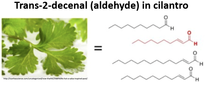 5/So why do some of us love cilantro and others taste soap when eating it? One clue may be a specific aldehyde that is found in the leaves of the herb: trans-2-decenal (shown in red below). http://ai.stanford.edu/~chuongdo/papers/cilantro.pdf