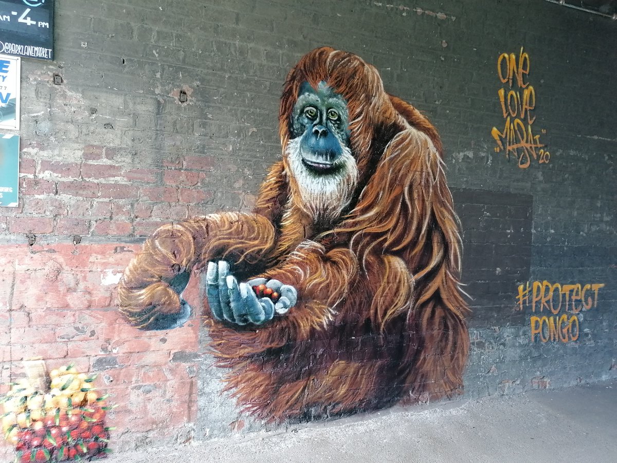 nolesserpanda's tweet photo. @DeborahMeaden This is so true Deborah, #sustainablepalmoil seems the best solution for now! We need to use our consumer power to bring change. The #ProtectPongo campaign hit my local area, have you seen it? It's incredible. @MeridianFoods @louismasai
#OrangutanCaringWeek
#sustainable https://t.co/I5tbgGsaMt