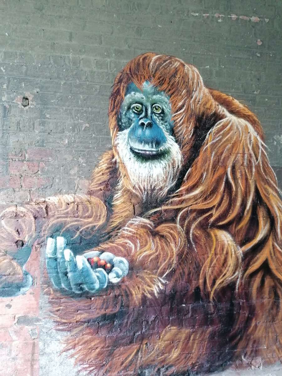 nolesserpanda's tweet photo. @DeborahMeaden This is so true Deborah, #sustainablepalmoil seems the best solution for now! We need to use our consumer power to bring change. The #ProtectPongo campaign hit my local area, have you seen it? It's incredible. @MeridianFoods @louismasai
#OrangutanCaringWeek
#sustainable https://t.co/I5tbgGsaMt