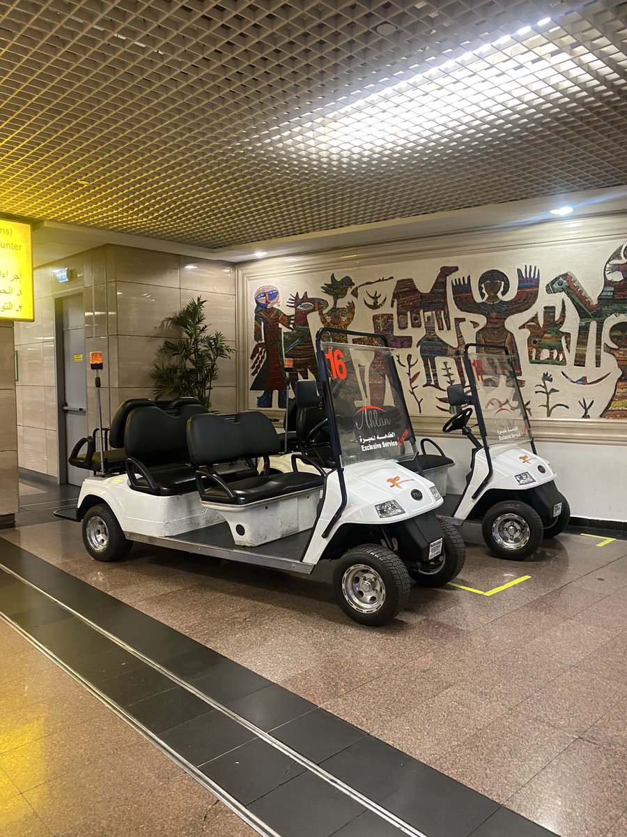 Cairo International at last! Like at OR Tambo, it takes minutes to check COVID test results and temperature. Short and sweet. Only ever use Uber to get to your hotel unless they offer FREE transport. Uber was 134 Egyptian Pounds. Hotel wanted to charge me $25, cabs 650EP.