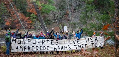 "'We care about protecting the mudpuppy and it's threatened by the continued use of lampricide in Vermont, and specifically the Lamoille River, which we believe is the best mudpuppy habitat in the state,' said Ira Powsner, the protest’s organizer."

wcax.com/2020/11/05/cri…