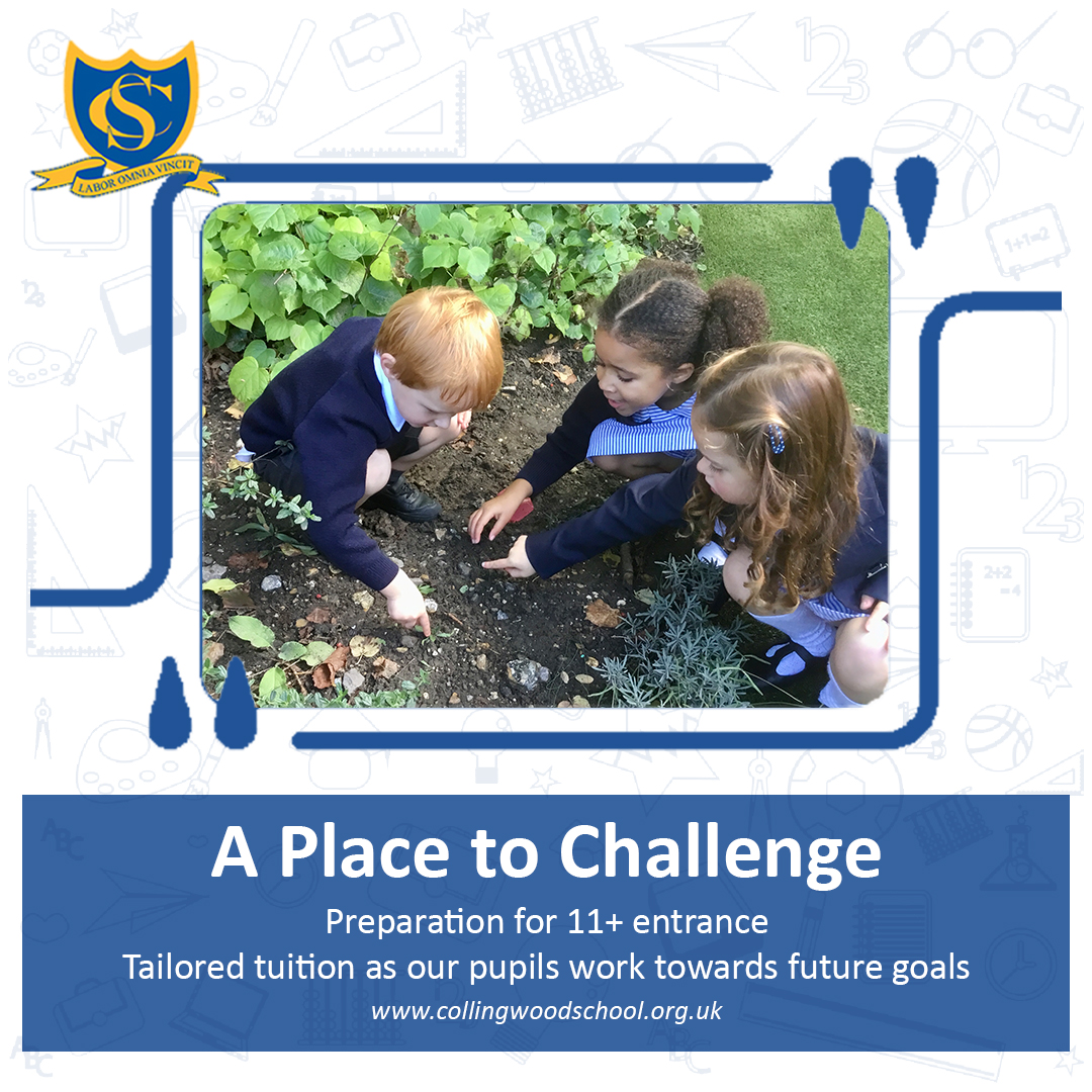 A Place to Challenge
Preparation for 11+ entrance
Tailored tuition as our pupils work towards future goals. 
collingwoodschool.org.uk
#education #independentschool #school #elementaryschool #preschool #prepschool #kindergarten #learning #legacyofexcellence #students #primaryschool