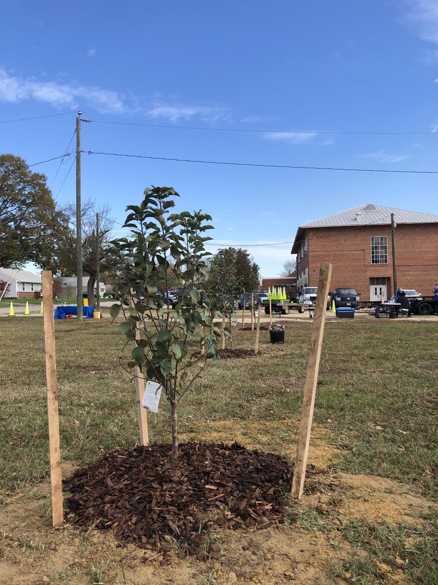 abj4cleanwater's tweet photo. Volunteers planted apples, pears, pecans, sour cherries, and persimmons at Woodlawn Learning Center in Hopewell this morning! #RootedinHopewell #urbanOrchard #Trees4CleanWater grant @chesapeakebay https://t.co/8ncCR0LPRs