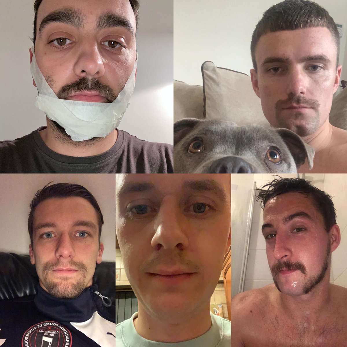 Just a little selection of the Mo’s currently being grown at the club! 

Some absolute belters, should be a good team photo month end!
#Movember
