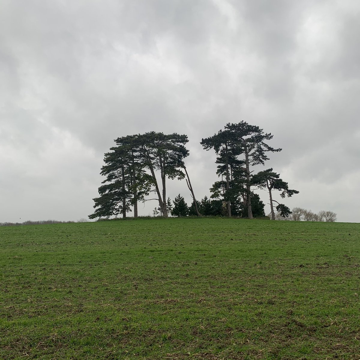 jredden's tweet photo. 20km run today. Eased back on the distance as I was feeling a bit tired. 
Howling wind, plenty of rain. Just the way I like it.
Next Saturday - 40 km.
#20KilometreRun #20KMRun #20KRun #12MileRun #CrossCountryRun #TrailRun #Run #OxfordshireRunning #LongSlowRun @ Oxfordshire https://t.co/czqtBTlgzJ